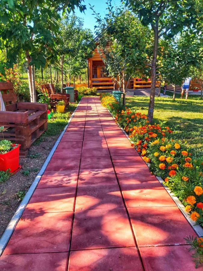 Holiday Bungalows & Food Plav Dış mekan fotoğraf