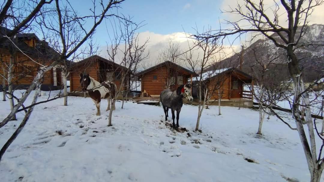Holiday Bungalows & Food Plav Dış mekan fotoğraf