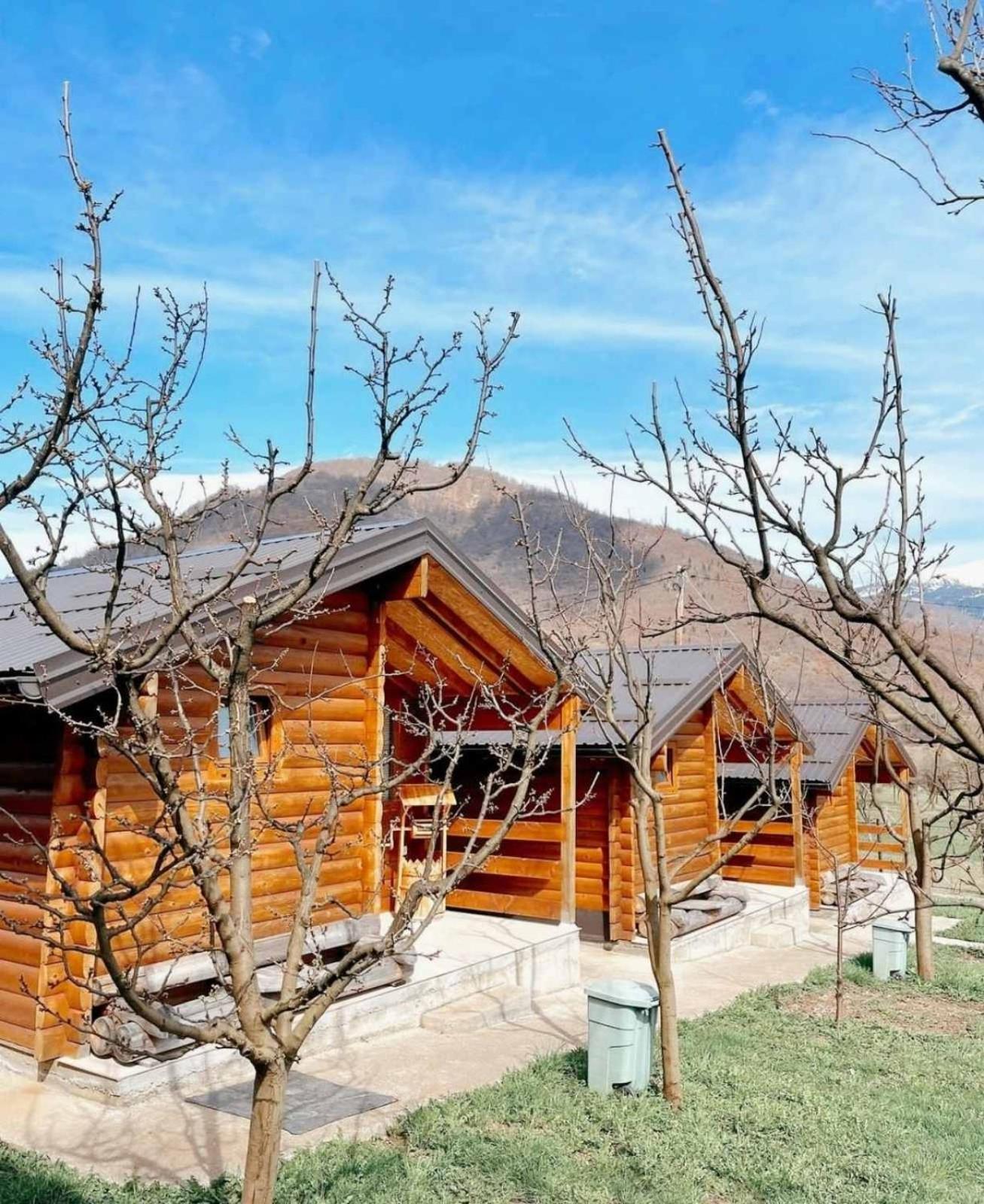 Holiday Bungalows & Food Plav Dış mekan fotoğraf